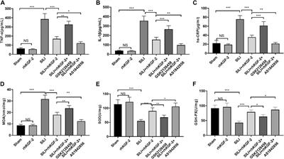 rhKGF-2 Attenuates Smoke Inhalation Lung Injury of Rats via Activating PI3K/Akt/Nrf2 and Repressing FoxO1-NLRP3 Inflammasome